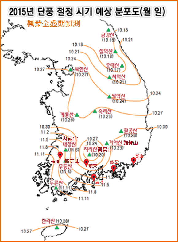 maple-forecast-high-01