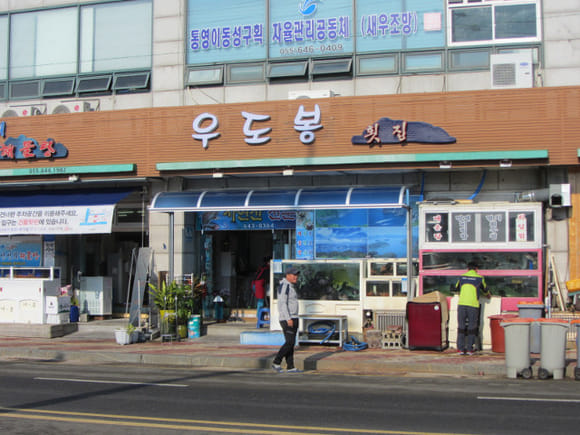 korea-southern-6847