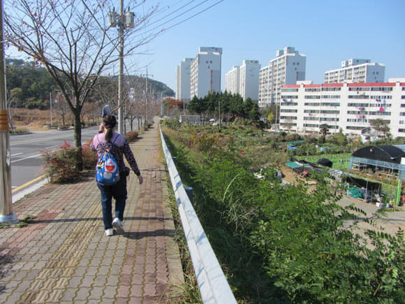 korea-southern-7070