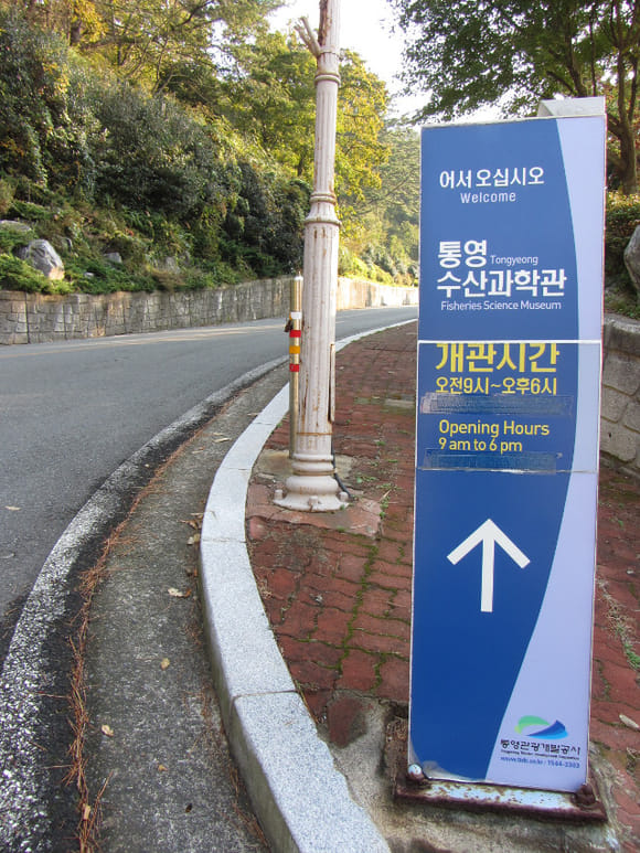 korea-southern-7124