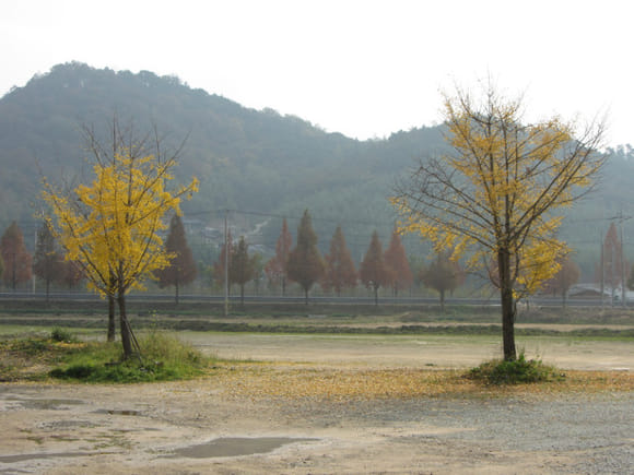 korea-southern-9741