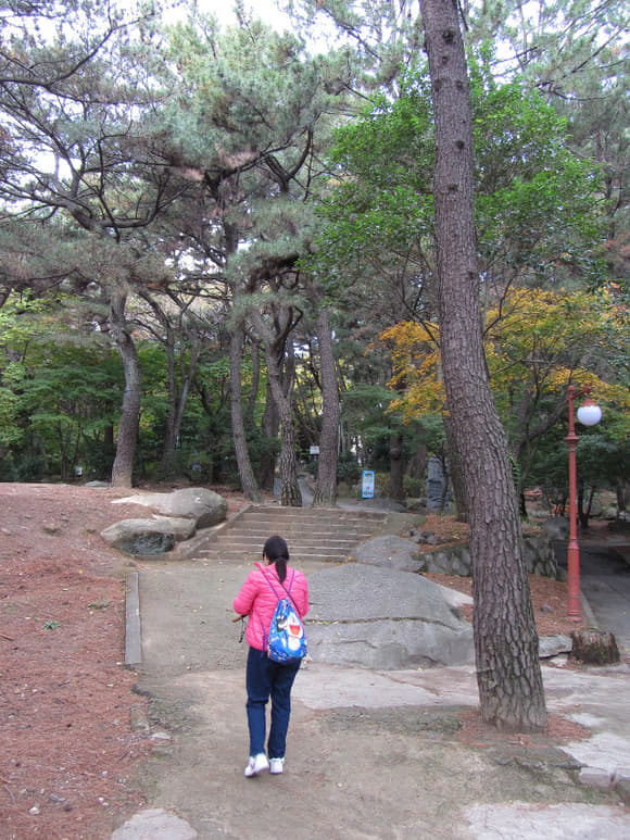 korea-southern-0278