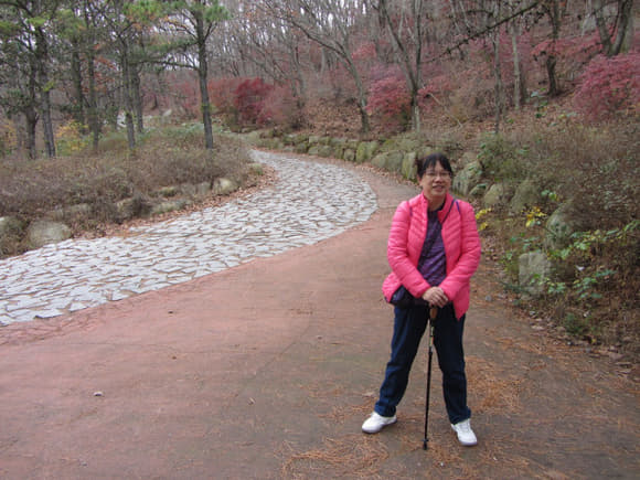 korea-southern-0383