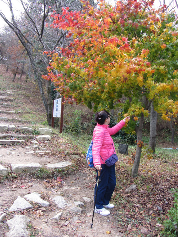 korea-southern-0410