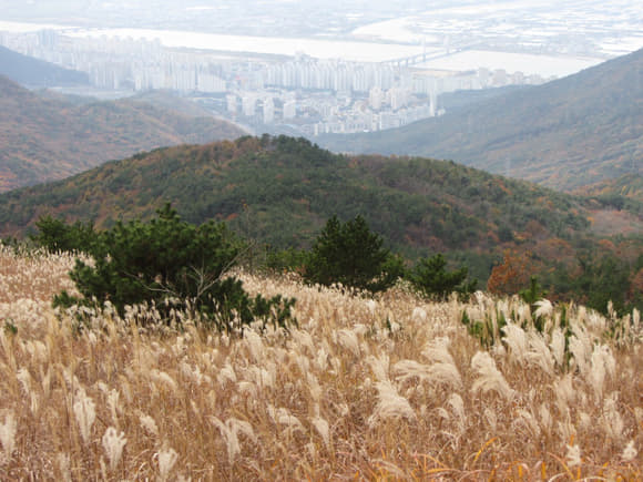 korea-southern-0566