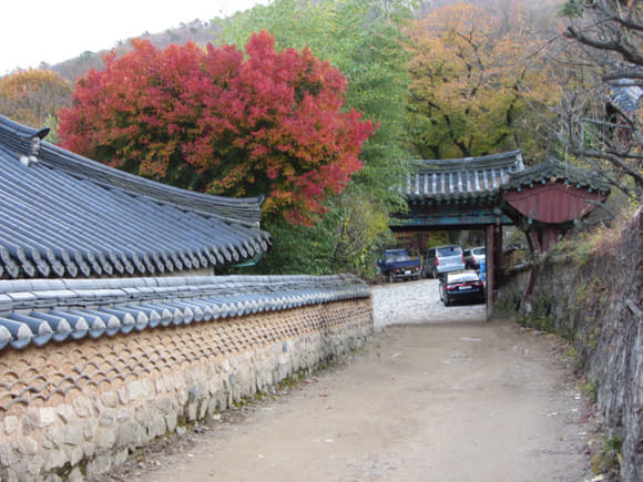 korea-southern-0779