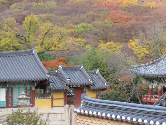 korea-southern-0785