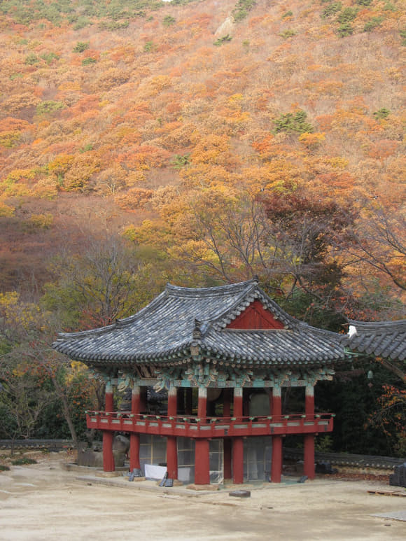 korea-southern-0786
