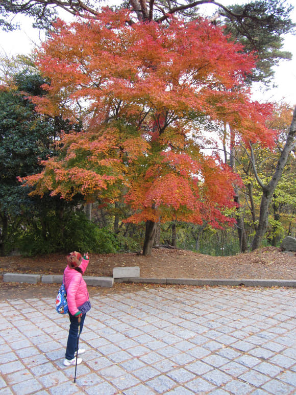 korea-southern-0827